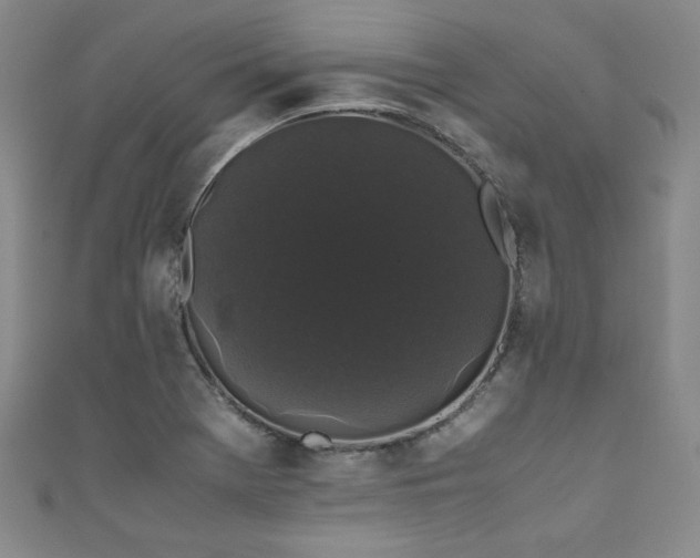X0000111881369200907231526