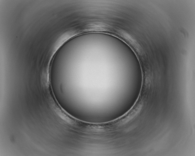 X0000111881370200907231526