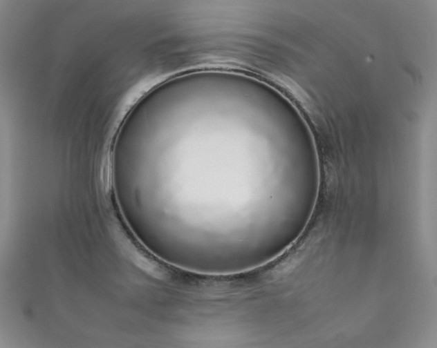 X0000111881371200907231526