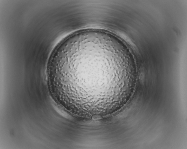 X0000111881372200907231526