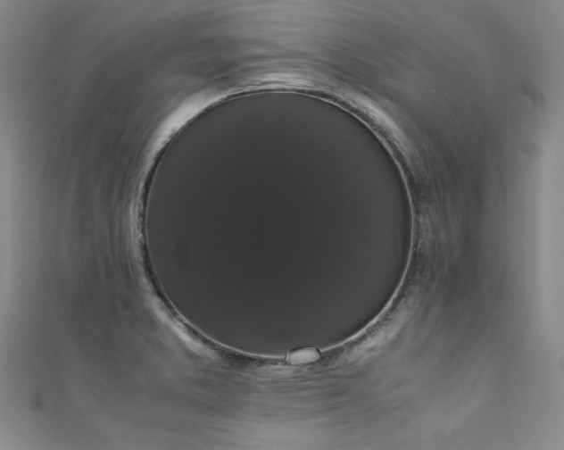 X0000111881373200907231526