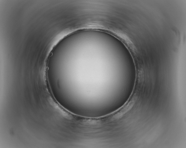 X0000111881374200907231526