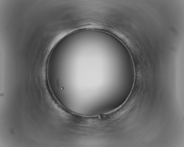 X0000111881375200907231526