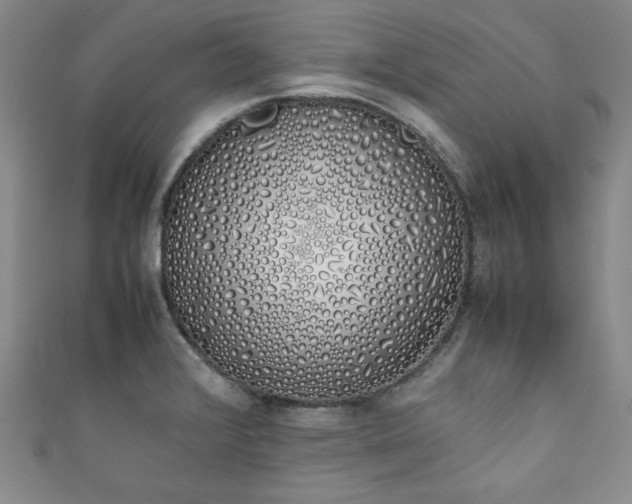 X0000111881376200907231526
