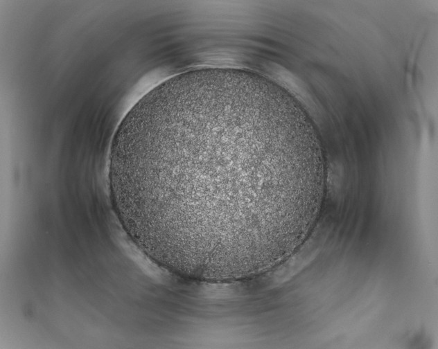 X0000111881378200907231526