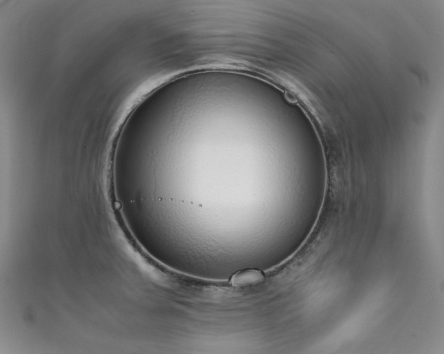 X0000111881379200907231526
