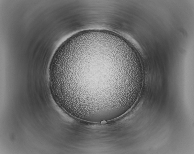 X0000111881380200907231526