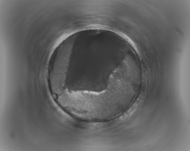 X0000111881381200907231526