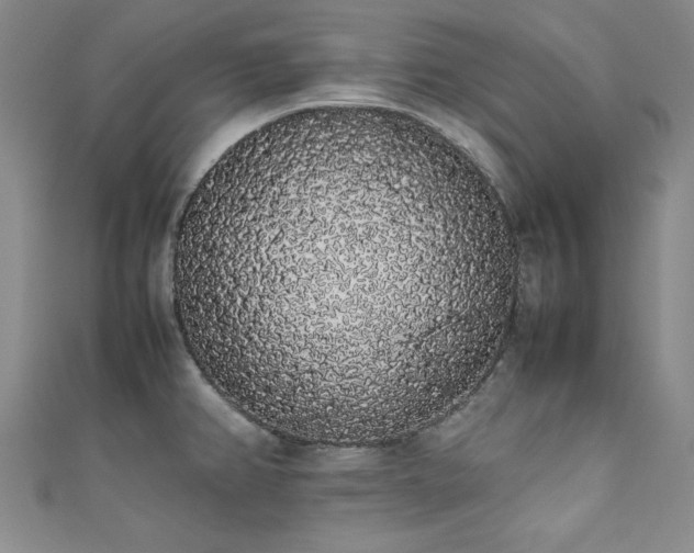 X0000111881382200907231526
