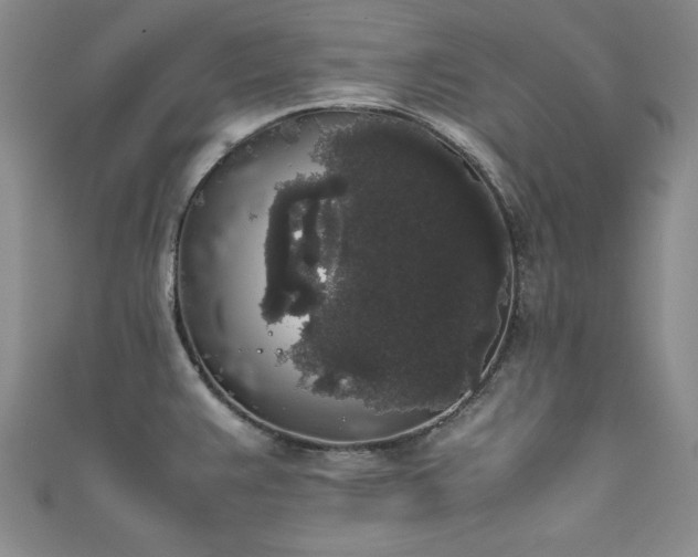 X0000111881383200907231526
