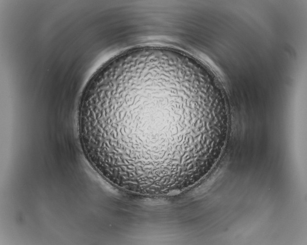 X0000111881384200907231526