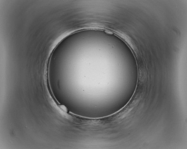 X0000111881387200907231526