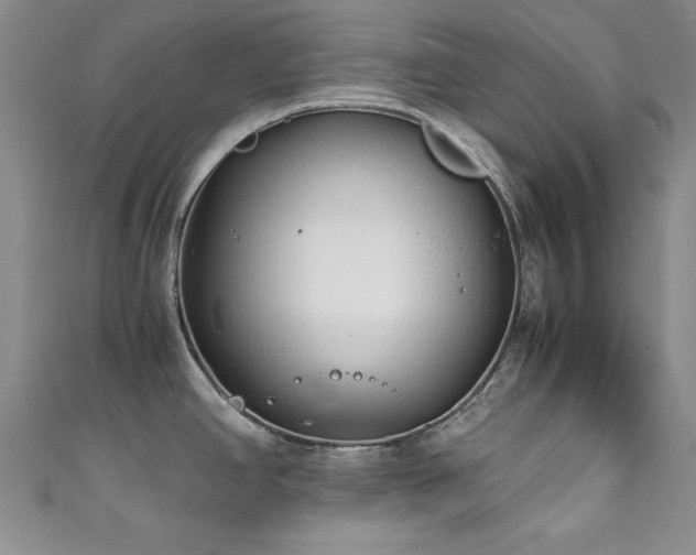 X0000111881390200907231526