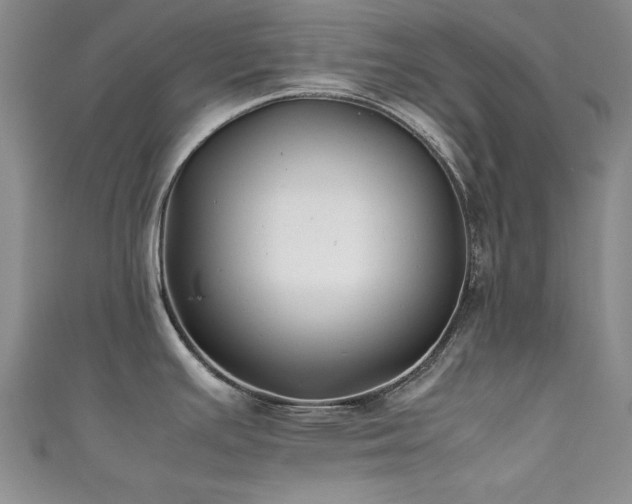 X0000111881391200907231526