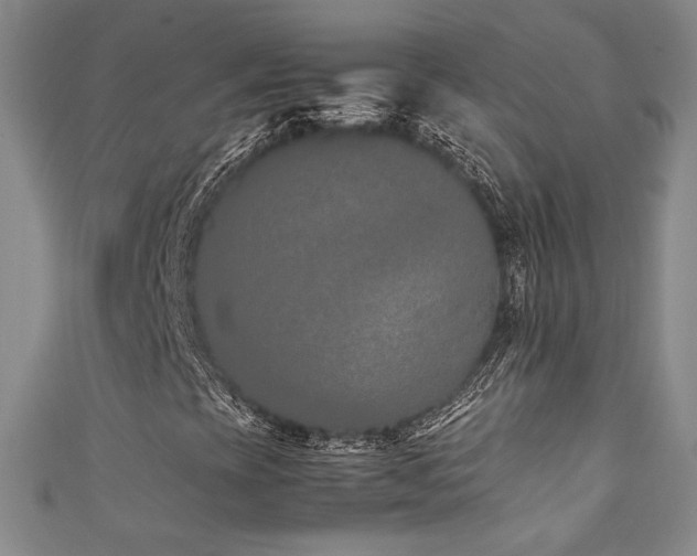 X0000111881393200907231525