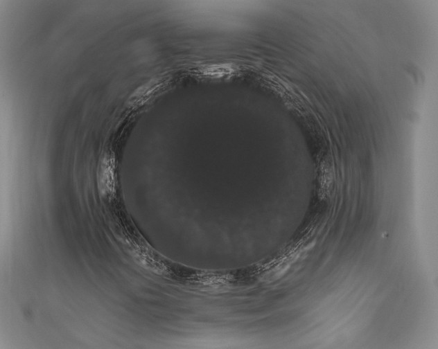 X0000111881394200907231525