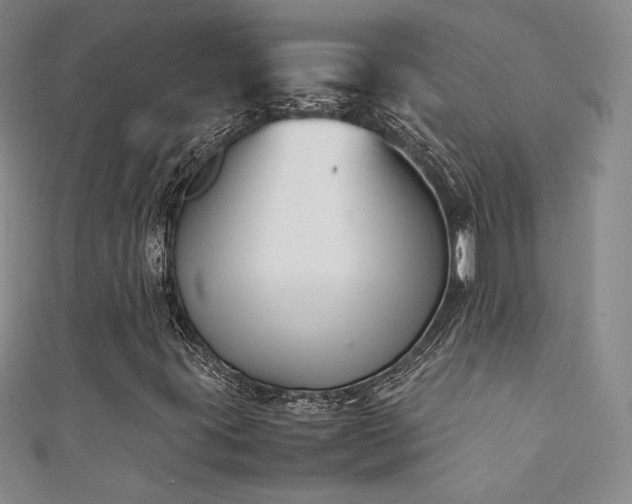 X0000111881395200907231525