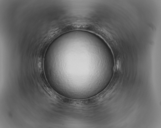 X0000111881396200907231525