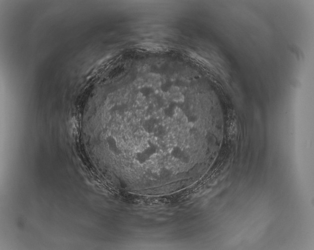 X0000111881397200907231525