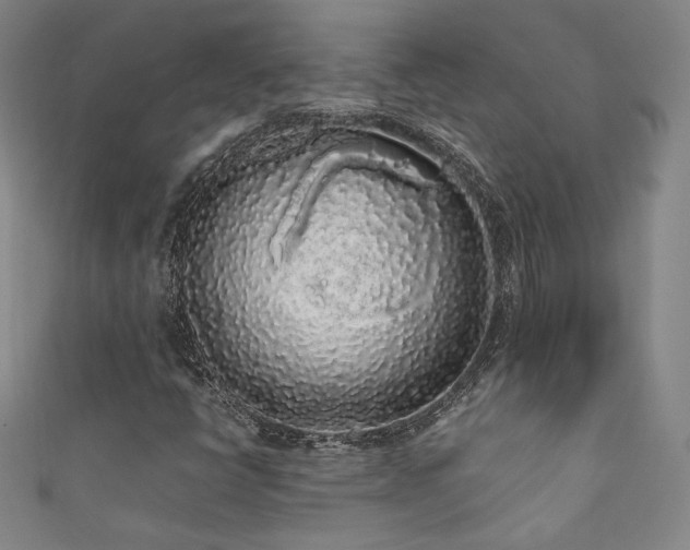 X0000111881398200907231525