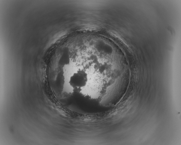 X0000111881399200907231525
