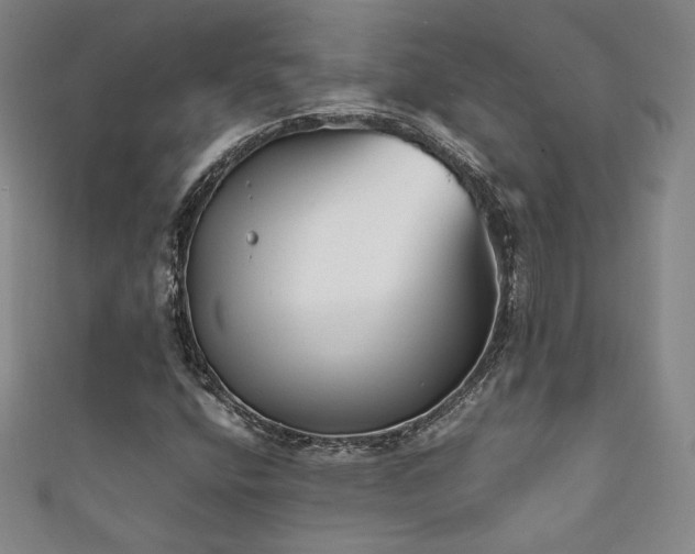 X0000111881400200907231525