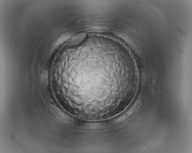 X0000111881402200907231525