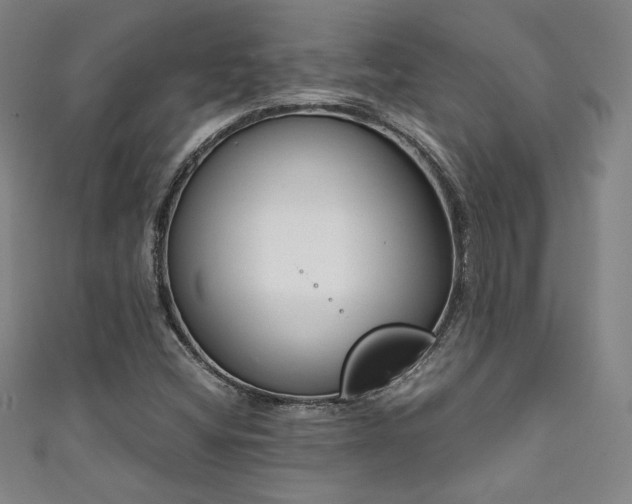 X0000111881404200907231525