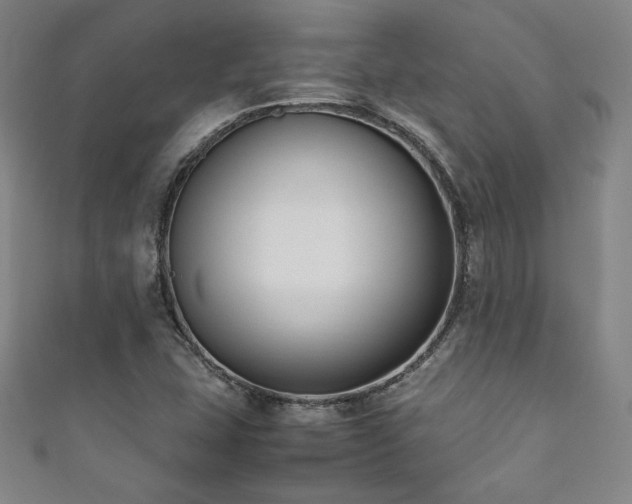 X0000111881407200907231525