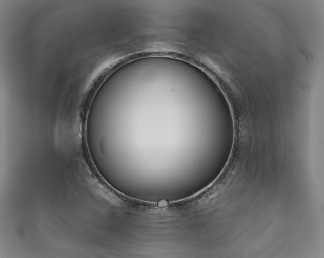 X0000111881408200907231525