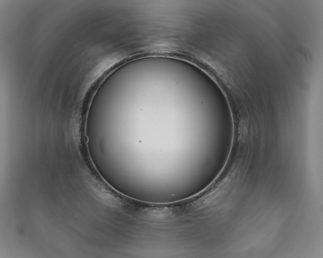 X0000111881410200907231525