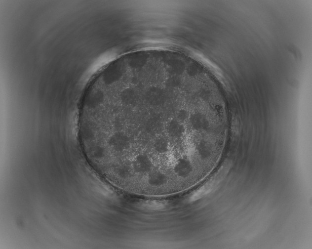 X0000111881411200907231525