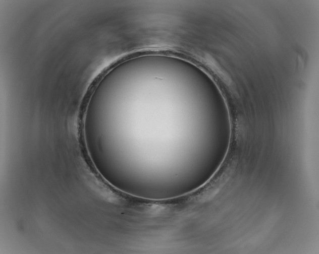 X0000111881412200907231525