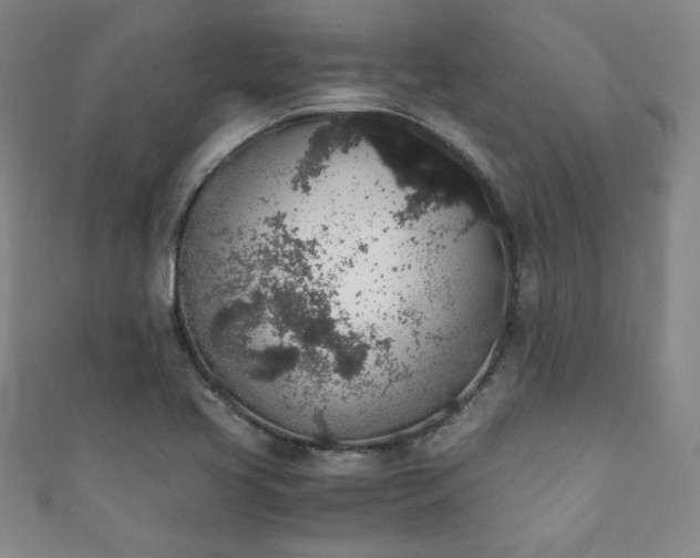 X0000111881413200907231525