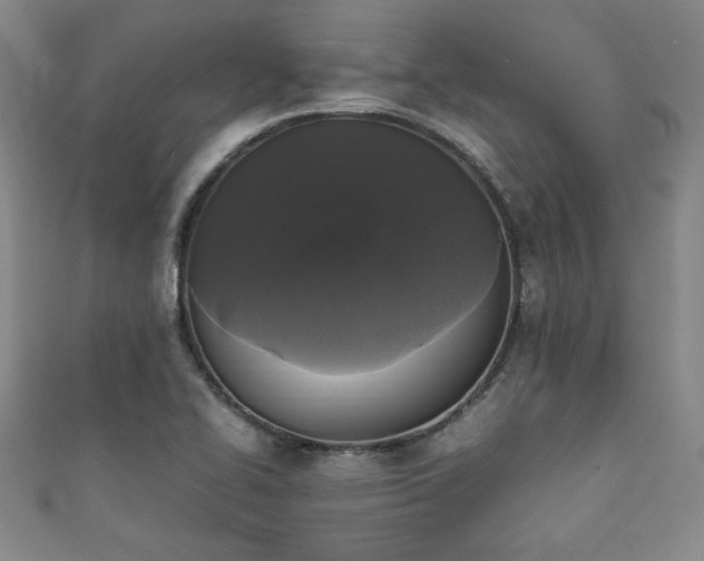X0000111881414200907231525