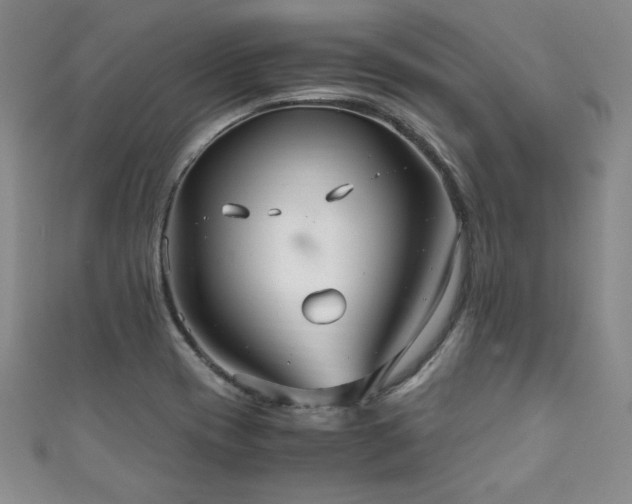 X0000111881417200907231525