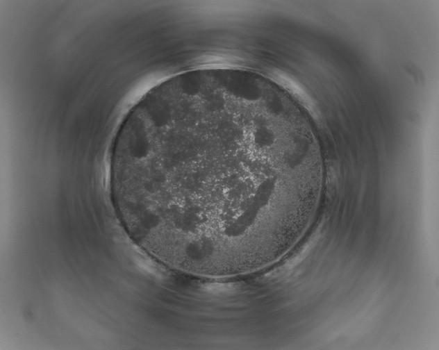 X0000111881419200907231525