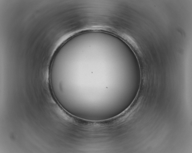 X0000111881420200907231526