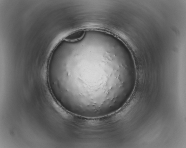 X0000111881421200907231526