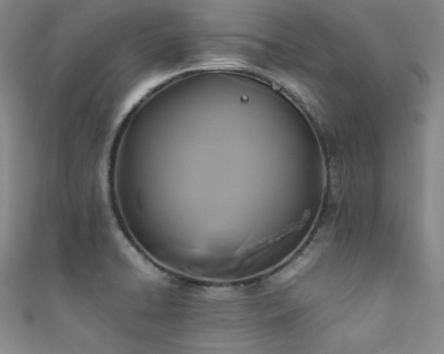 X0000111881422200907231526
