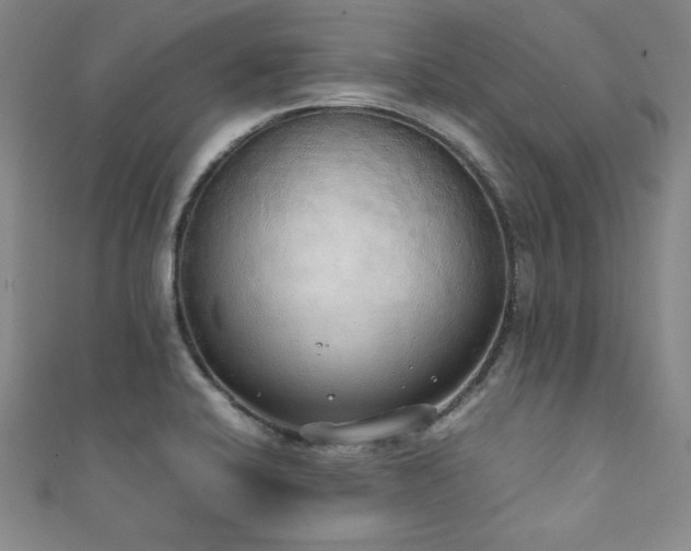 X0000111881424200907231526