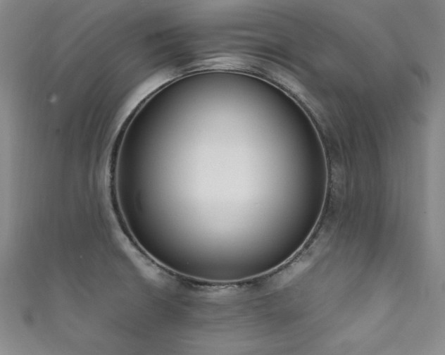 X0000111881426200907231526
