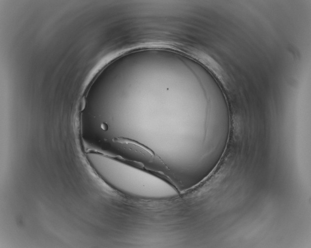 X0000111881428200907231526