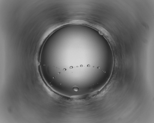 X0000111881430200907231526
