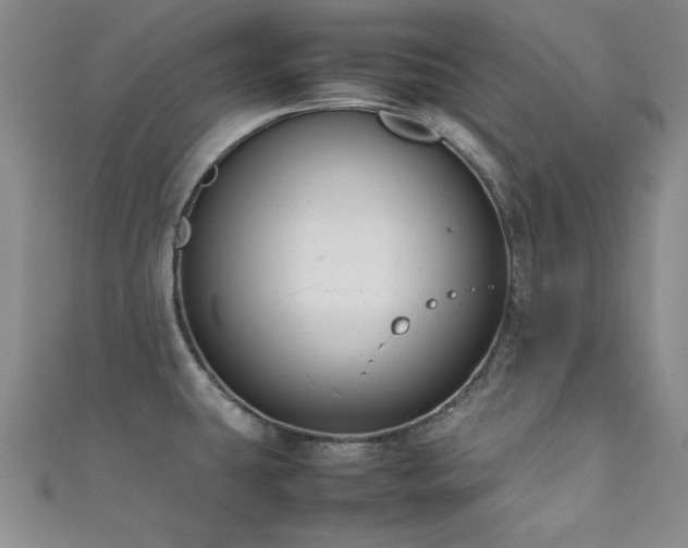X0000111881431200907231526