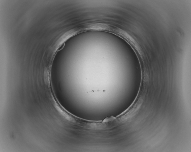 X0000111881433200907231526