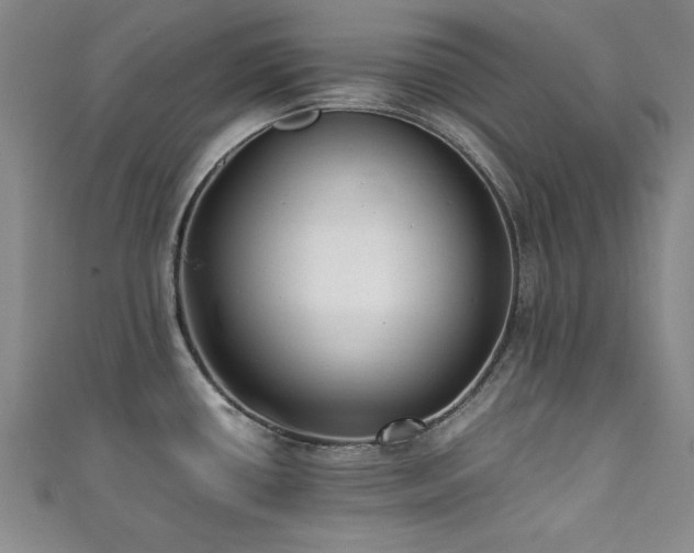 X0000111881434200907231526