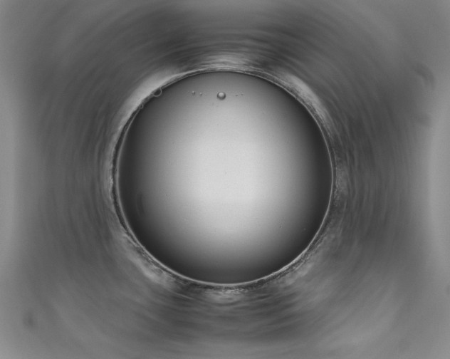 X0000111881435200907231526