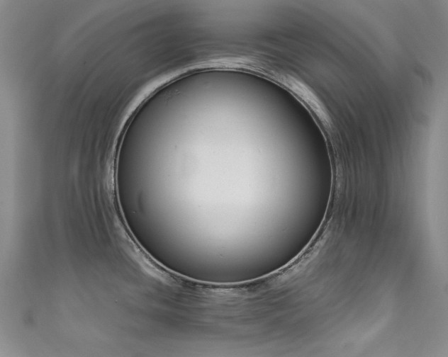 X0000111881436200907231526