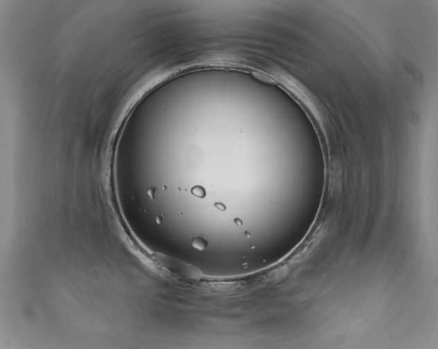 X0000111881437200907231526